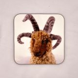 Set of 2 Manx Loaghtan Sheep Coasters - Aldyn's Beautiful Face