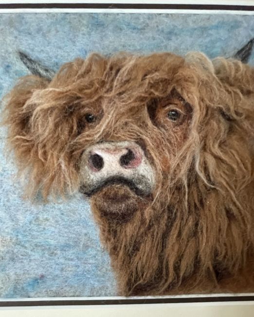 Highland Cow Frame close up