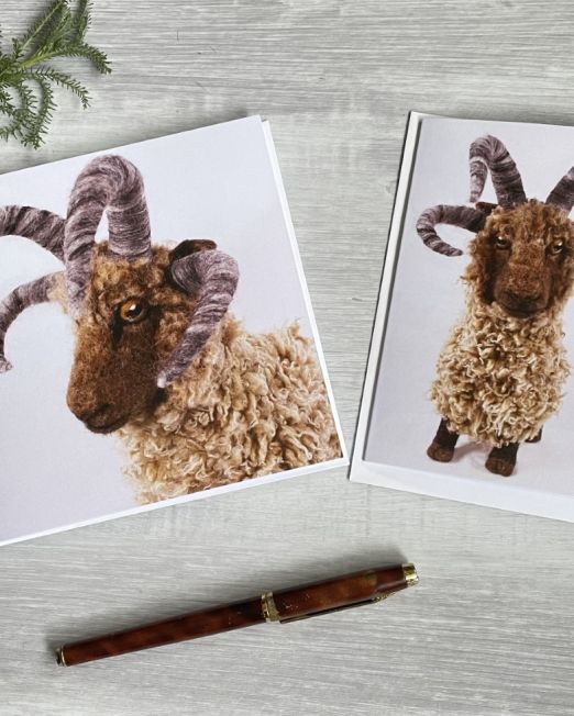 Manx Loaghtan Greeting Cards Double Pack