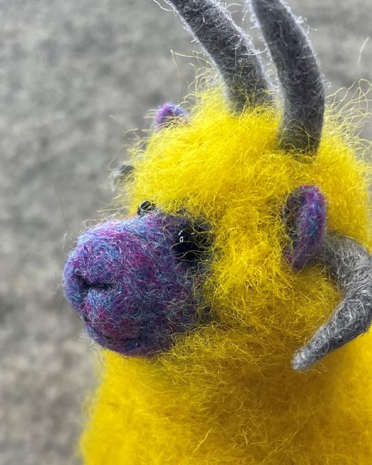 Ovis The Loaghtan Sheep 3