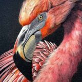 'Feather And Fire’ Flamingo Print