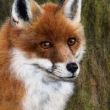 Needle Felted Fox Portrait Tutorial